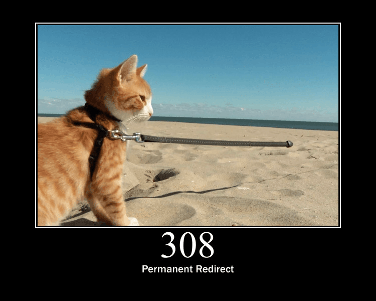 308-Permanent-Redirect.png
